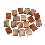 20x Muschel braun, 1,5x2cm, Schmuckteile, Schmuck DIY, 7218 20x Muschel braun, 1,5x2cm, Schmuckteile, Schmuck DIY, 7218